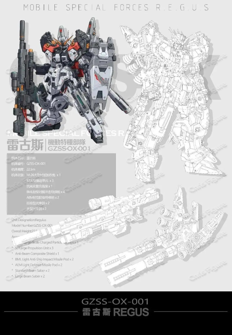 Disponibile ZZA REGUS GZSS-OX- - Model Kit Regus recensione e prezzo