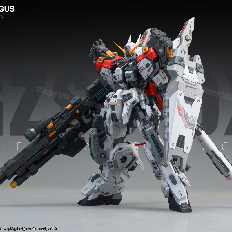 Nuovo Modello ZZA 1/100 MG REG - Model Kit Regus recensione e prezzo